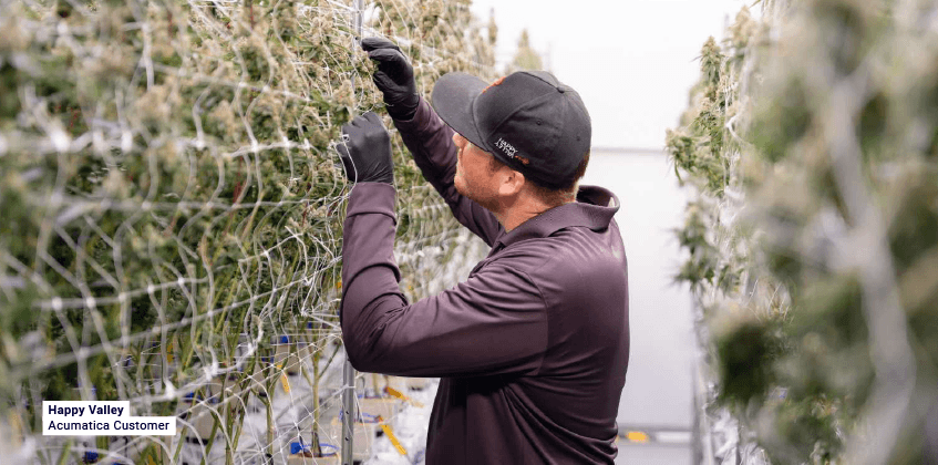 Saisir les opportunités de croissance : comment des solutions ERP complètes peuvent aider les entreprises émergentes de cannabis